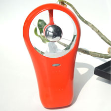 handheld mini fan-The colour and lustre of red roses
